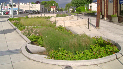 Green Infrastructure