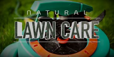 Natural Lawn Care