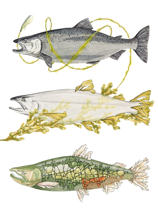 Chinook Magic by Maria Jost