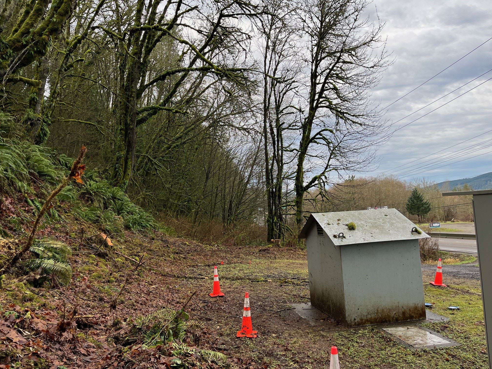 20240129_Well 7_Photo04