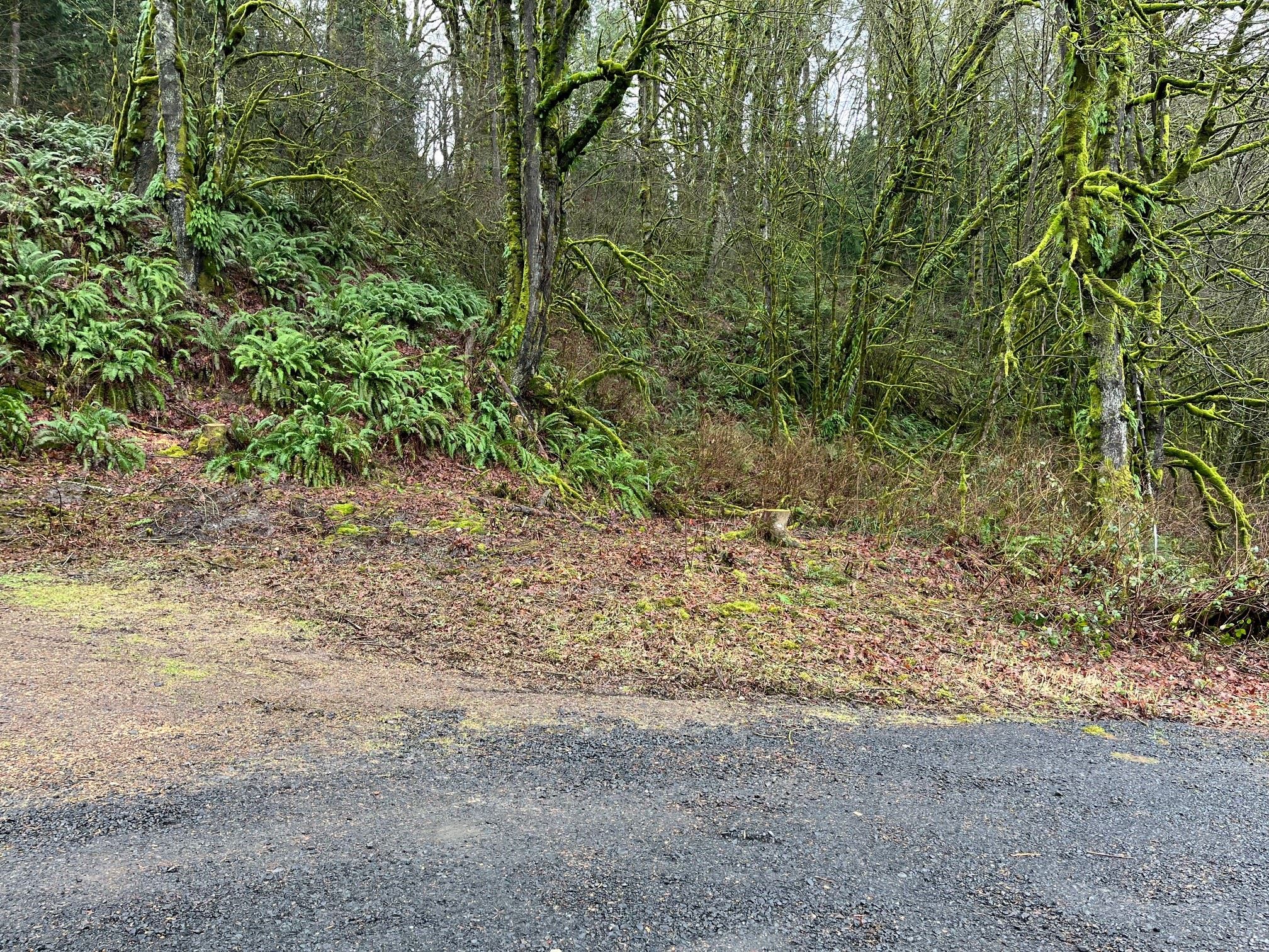 20240129_Well 7_Photo02